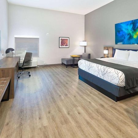 La Quinta Inn & Suites By Wyndham Dallas/Fairpark מראה חיצוני תמונה
